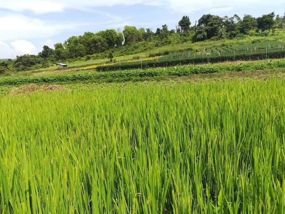 Hotel Shwe Nann Htike Pyin Oo Lwin Kültér fotó