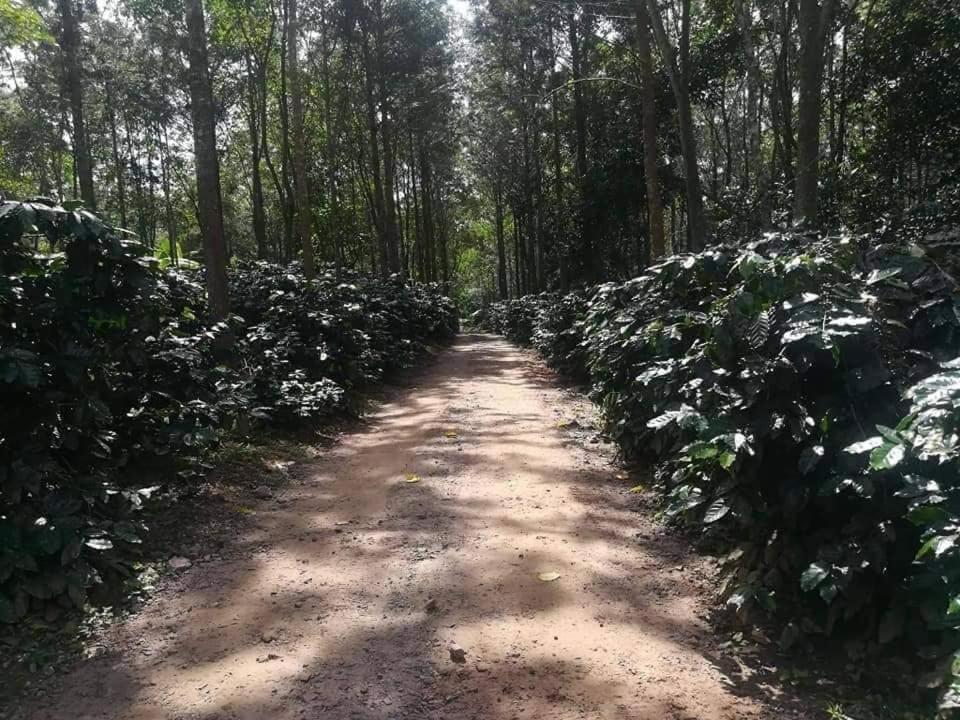 Hotel Shwe Nann Htike Pyin Oo Lwin Kültér fotó