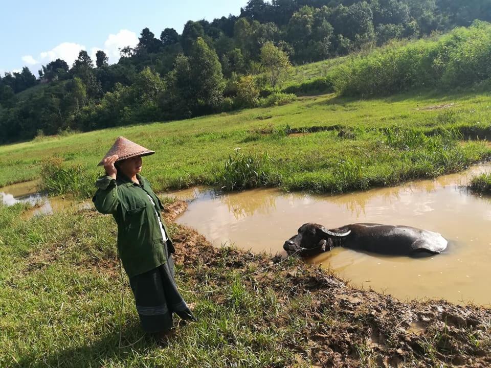 Hotel Shwe Nann Htike Pyin Oo Lwin Kültér fotó