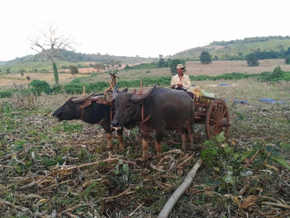 Hotel Shwe Nann Htike Pyin Oo Lwin Kültér fotó